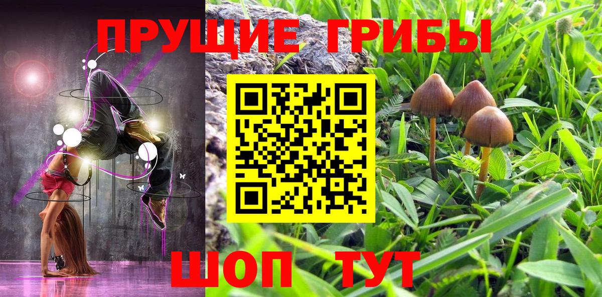 Псилоцибиновые грибы ЛСД Котельники