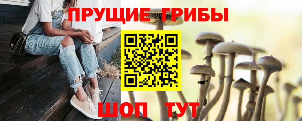 Галлюциногенные грибы мухоморы  Галлюциногенные грибы мицелий  Вход с VPN  Котельники 